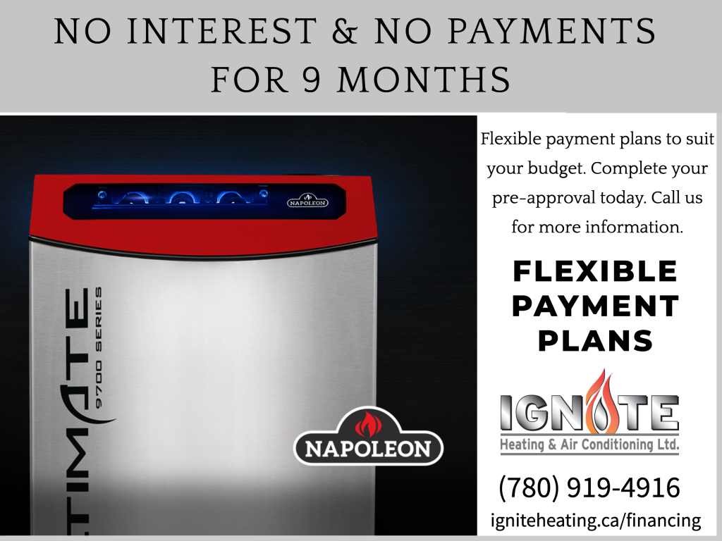 9 month no interest no payments